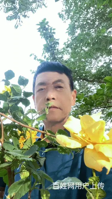 有你就是家 - 图片
