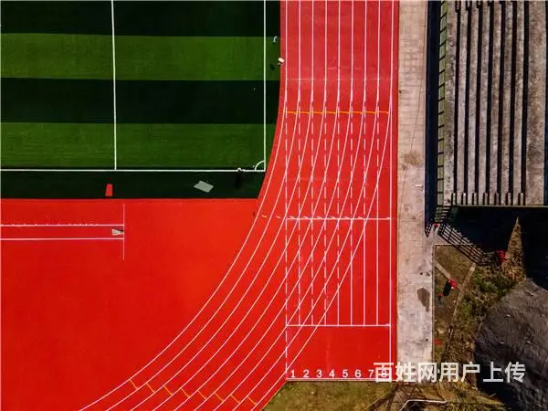为什么有的塑胶跑道会掉色？ - 图片