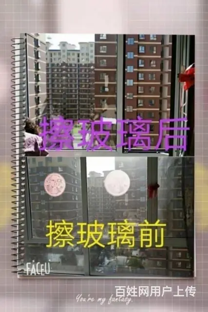 好丽安家政服务：用的放心、用后舒心！长期有效！ - 图片 4