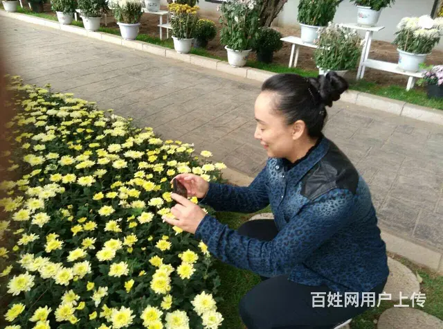 征婚 - 图片