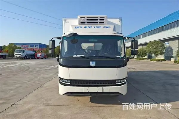 毕节小型蓝牌拉雪糕牛奶冻肉的冷藏车4.2米冷藏车直销 - 图片 8