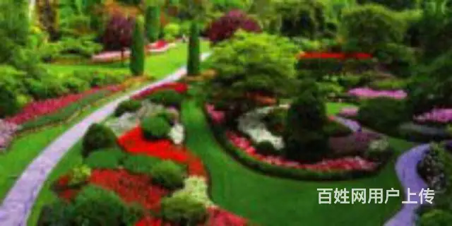 首付一万黄金地段一中学区湿地公园楼层任选少交多抵 - 图片 9