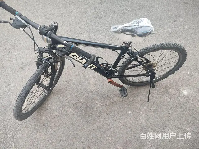 捷安特山地车 - 图片 2