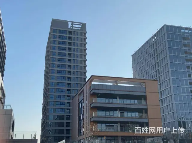 政务区独栋 通燃气 没有公摊 赠送顶层双露台 - 图片 6