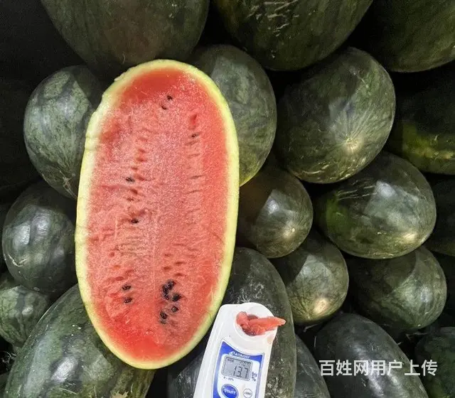 全品类水果批发市场脐橙桃子成都新鲜配送上门 - 图片 1