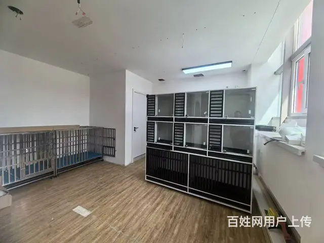 营盘街旺地精装自助宠物美容店出兑 - 图片 8