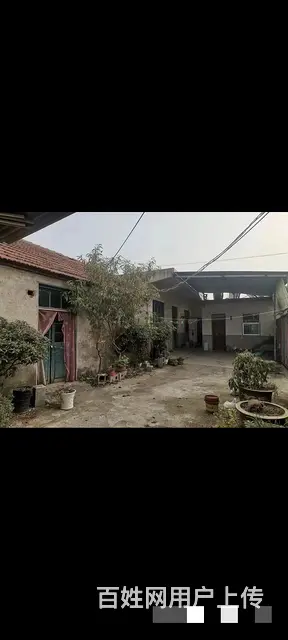 (58今铺)枣园花园村 1200平场地 适合加工厂 养殖棚等 - 图片 4