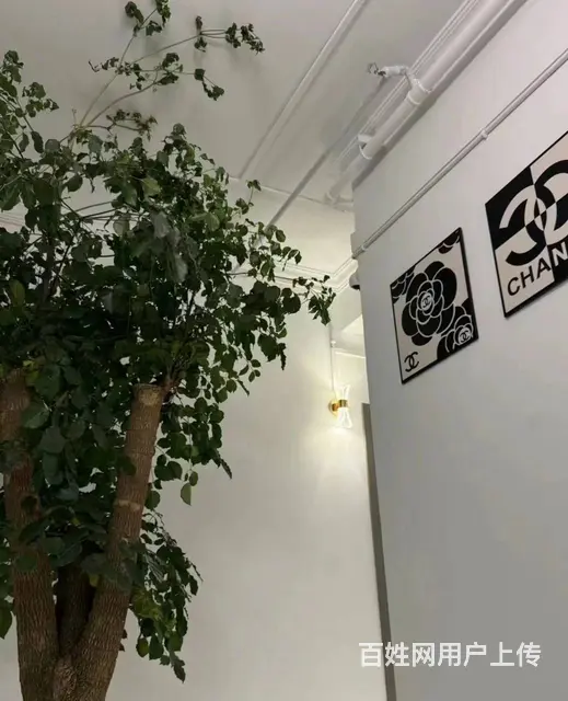 （51旺铺推荐）商品街220平棋牌室招合作 - 图片 3