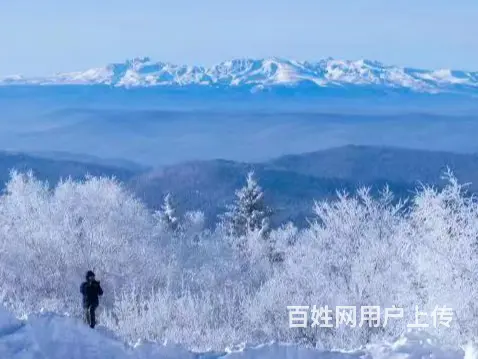 呼伦贝尔满洲里亚布力旅游拼车旅游拼车多少钱一位包车司机领队 - 图片 1