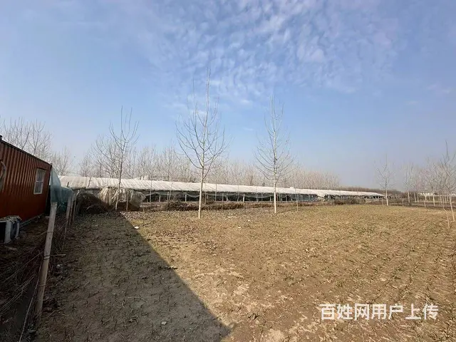 （弘扬快讯）铜山区三堡胜阳养殖场出租 - 图片 3