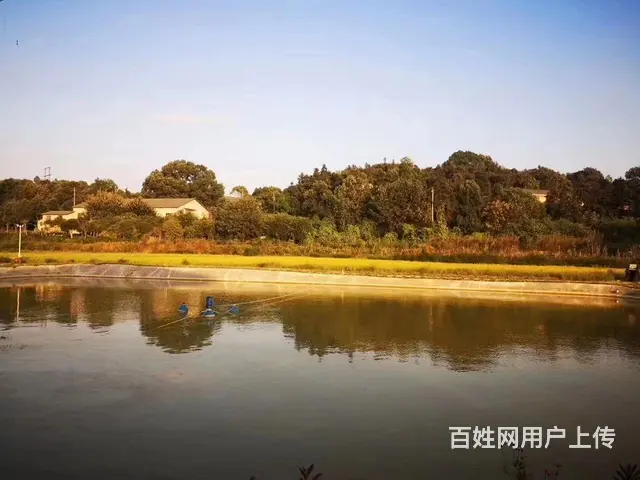 房源编号:0510 （老板房源）开福区北二环附近农家乐／露营 - 图片 4