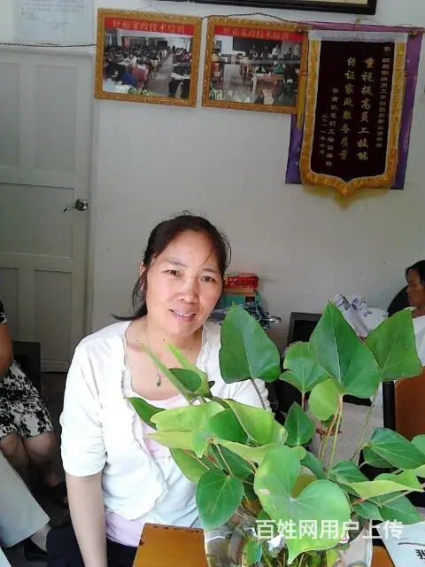 十六年老牌金牌月嫂,育婴师,保姆,钟点，陪护 - 图片 1
