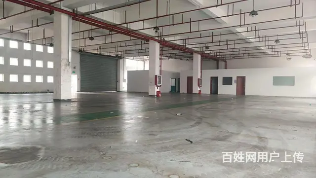 千灯镇标准一楼厂房出租，停车方便，价格便宜，适合各行业 - 图片 3