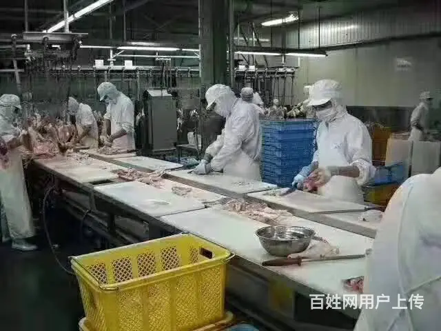 澳大利亚、新西兰、加拿大、以色列、韩国、日本、 - 图片 4