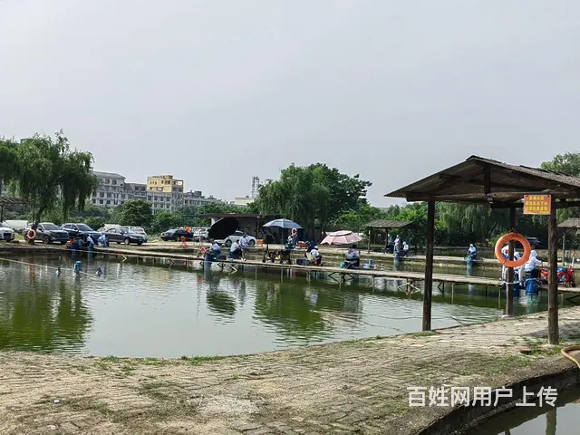 营业中12亩钓场优价急转 - 图片 10