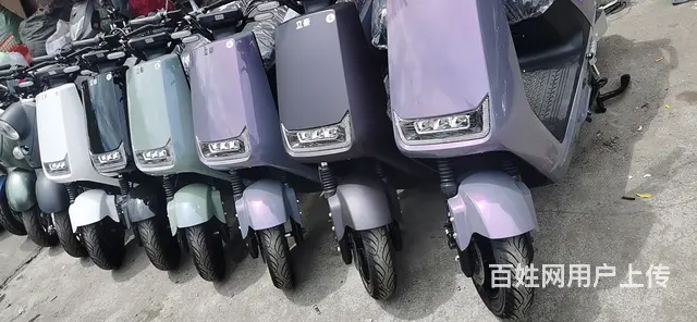 全新大牛   1999 - 图片 6