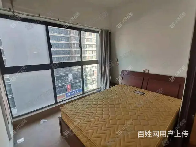 新北万达广场 押一付一 可短租 精装1室1厅 1900元 - 图片 6