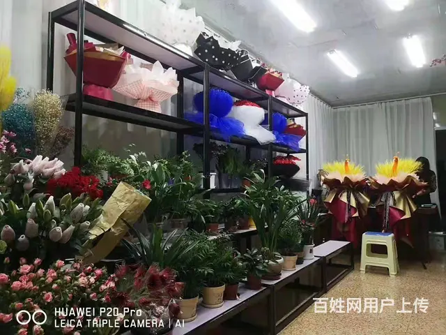 7640(七P)个人大通区桥头临街旺铺芸洋花店对外低价转让 - 图片 4