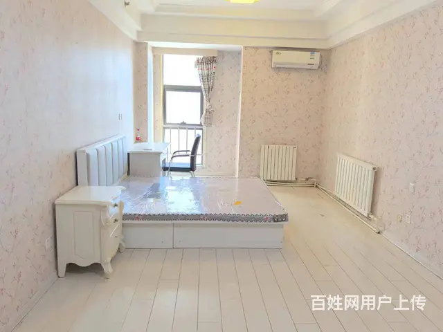 近中街大悦城，丰瑞威士顿公寓 ，1300元/月，精装修家电全 - 图片 3