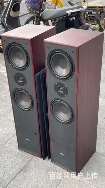 转让一对德国原装进口德高发烧落地音箱，双6.5寸寸 - 图片 4