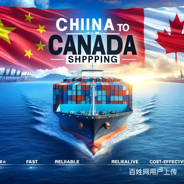 宠物用品海运到温哥华，毛孩子也能享受“国内品质” - 图片