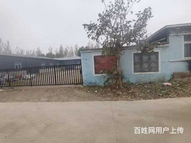 出租大院 - 图片 4