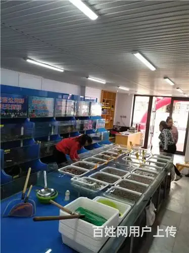 江北北园市场主街270平门市出租 - 图片 4