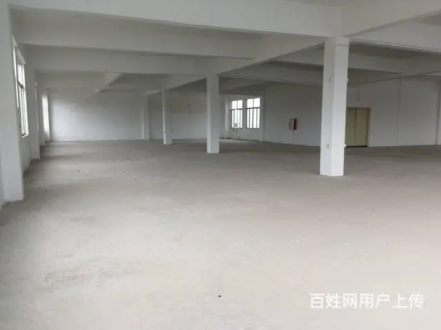 斗门珠峰大道旁全新厂房 - 图片 6