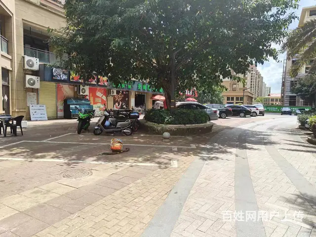 （51旺铺推荐）新大洲大道绿地城60平店临街铺面转让 - 图片 4