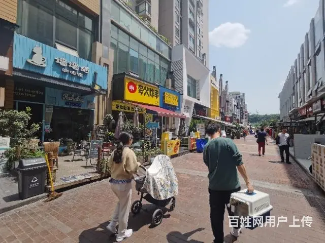 旺铺居）房东直售带租约涪城万达步行街铺面 - 图片 3