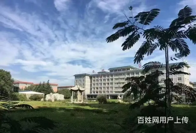 烟台护士学校2023年招生简章，招生要求 - 图片 1