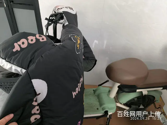 【搞定了！】小鸟电动车 - 图片 2