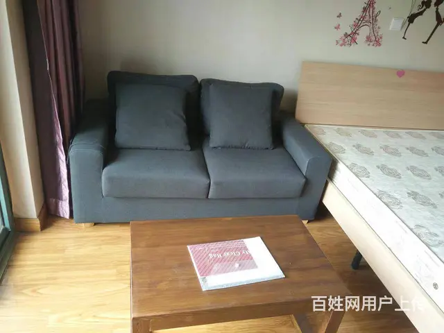 雍景湾西苑 金鹰国际大润发商圈附近精装修一室一厅 - 图片 3