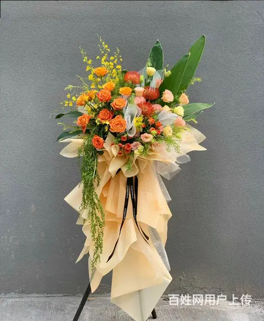 琶洲花店 琶洲订花订植物  租花租植物  买花买植 - 图片 3