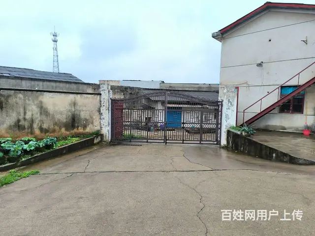 房东直租)跳马石燕湖3000平仓库，厂房出租，带行车，可分租 - 图片 2