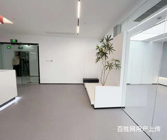 5号线江晖路地铁口 350方全新精装 孵化器高补贴 高性价比 - 图片 6