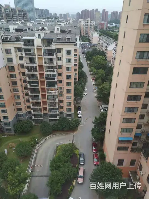 伍家岗五一广场 房东本人直租 独立卫生间 - 图片 1