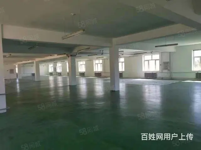 香坊区朝阳镇前进村厂房出租 - 图片 4