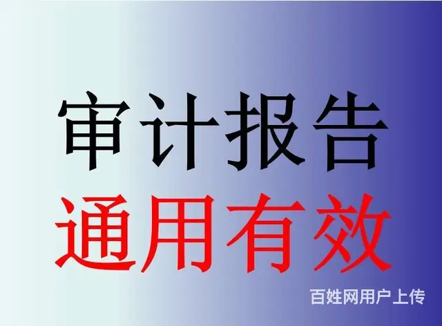 经审计机构或者会计师事务所审计的财务报表 - 图片 4