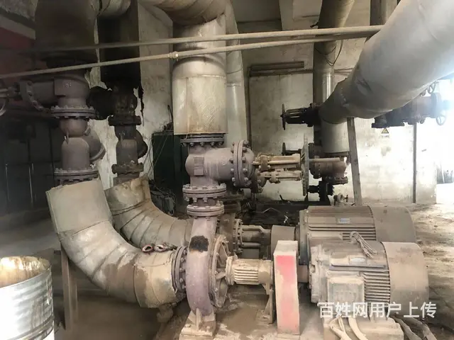 2019年600万燃生物质导热油锅炉 - 图片 4