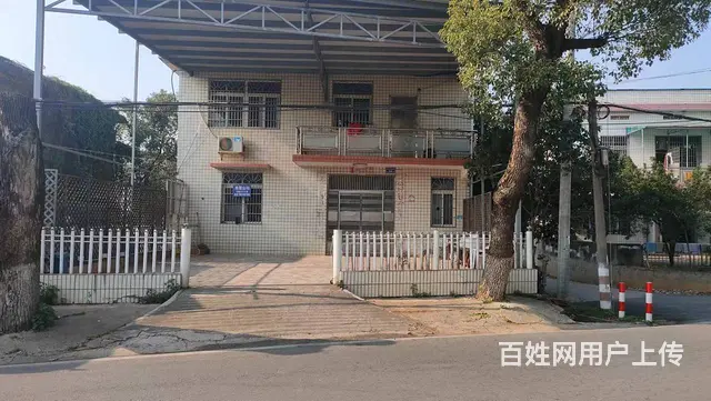 （个人）大托新开铺附近大马路边上厂房仓库出租编号9087 - 图片 4
