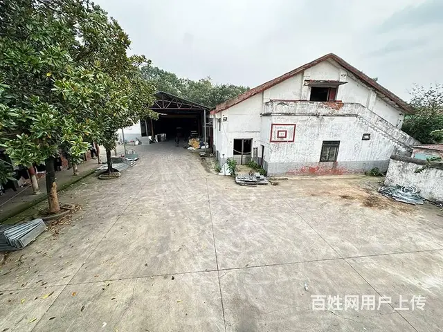 （老板本人）望城独门独院厂房仓库出租  6213 - 图片 5