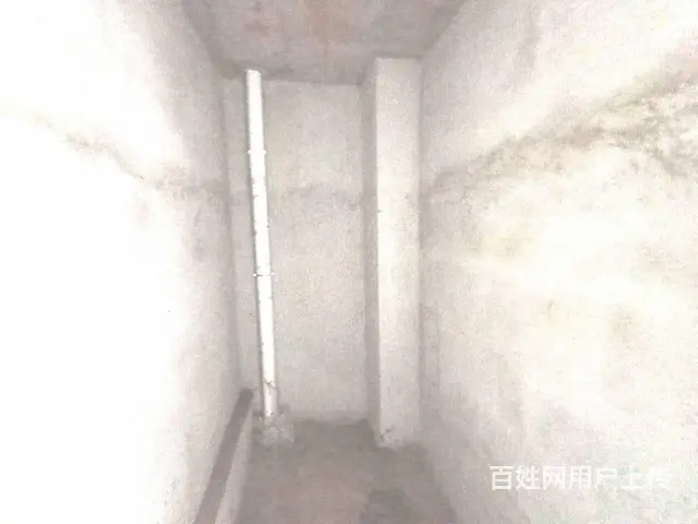 (房东)丽涛雅苑套房出售，毛坯，1室1厅1厨1卫，电梯 - 图片 4