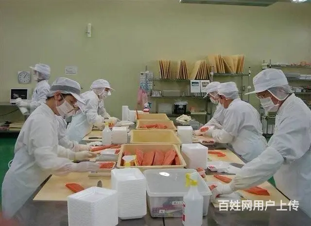 《正规渠道》出国劳务工作签50W，诚信可靠 - 图片 4