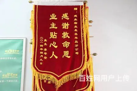条幅锦旗绶带牌匾彩页画册哈立军品牌设计制作 - 图片 4