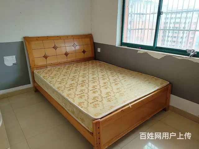 适合居家或者白领上班族 - 图片
