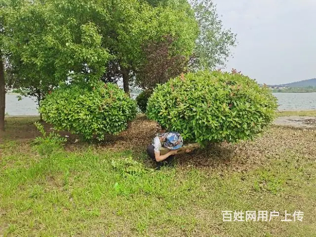 合肥周边烧烤团建+真人cs - 图片 4