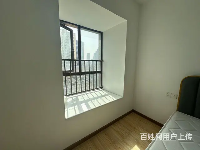 48号线岳家嘴双地铁站 正堂时代 骏业财富中心 金 - 图片 8