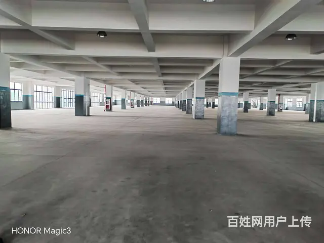 碧溪沿江开发区32000平方标准厂房出租，场地大，环境优美。 - 图片 5
