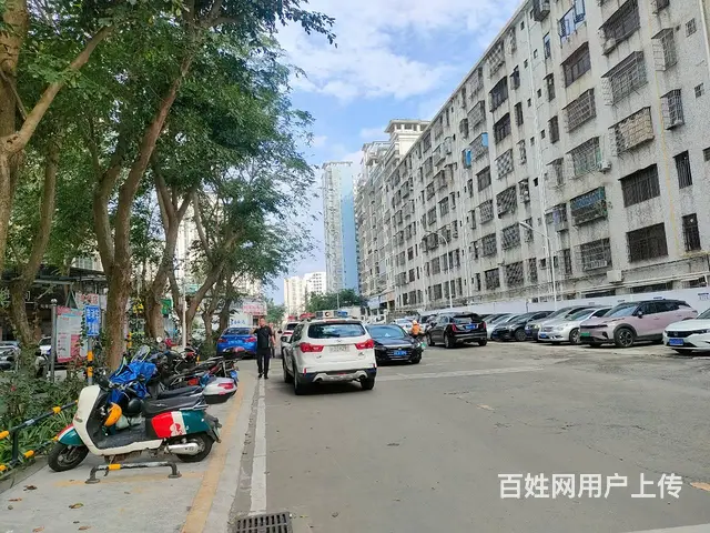 （51旺铺推荐）美兰区板桥路600平铺面转让 - 图片 9